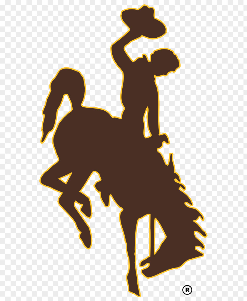 Bucking Horse Pictures University Of Wyoming Cowboys Football Men's Basketball Cowgirls Women's NCAA Division I Tournament PNG