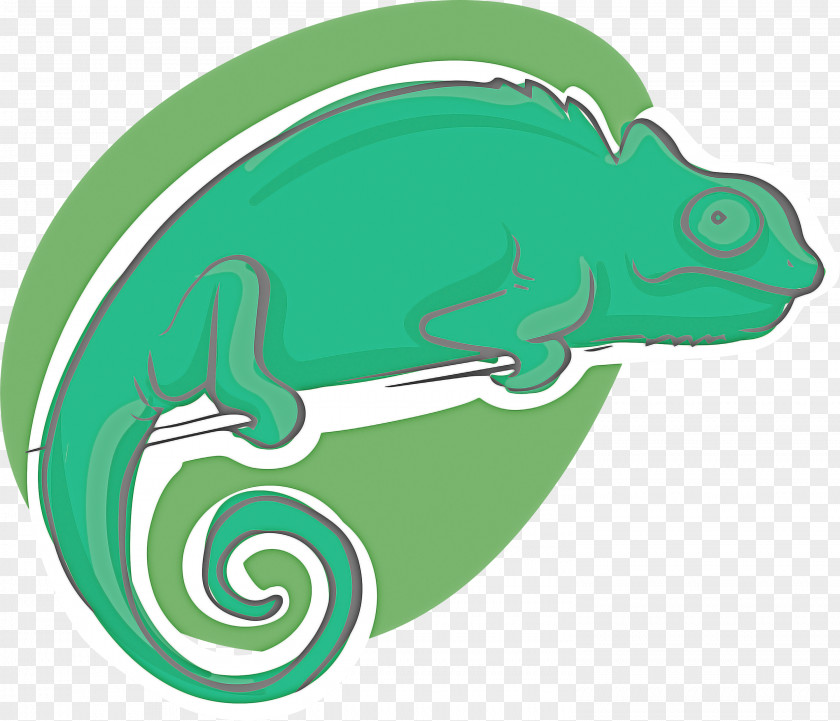 Fish Reptiles Green Line Biology PNG