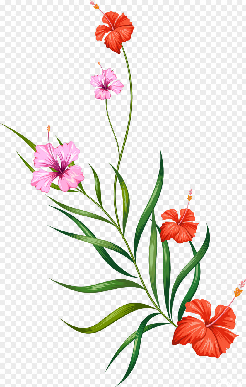 Flower Clip Art PNG