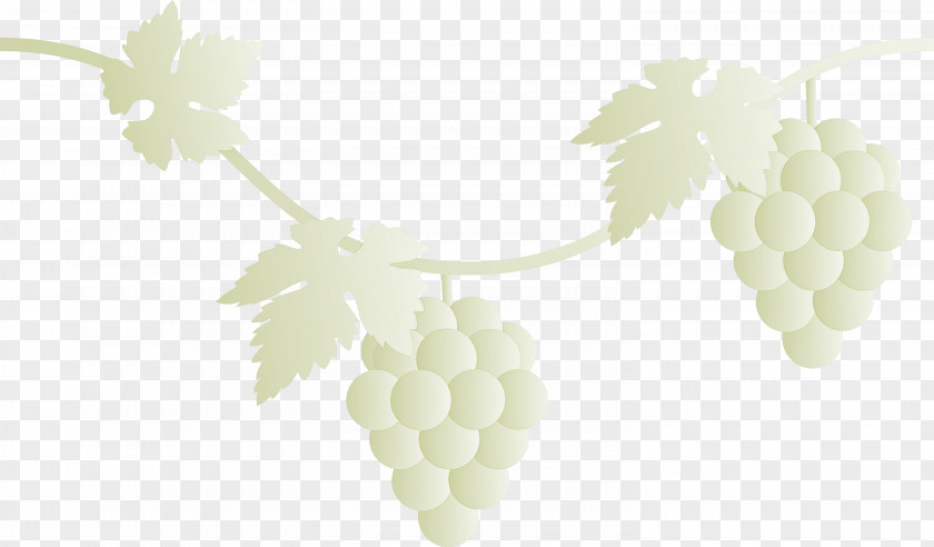 Grape Grapes Fruit PNG