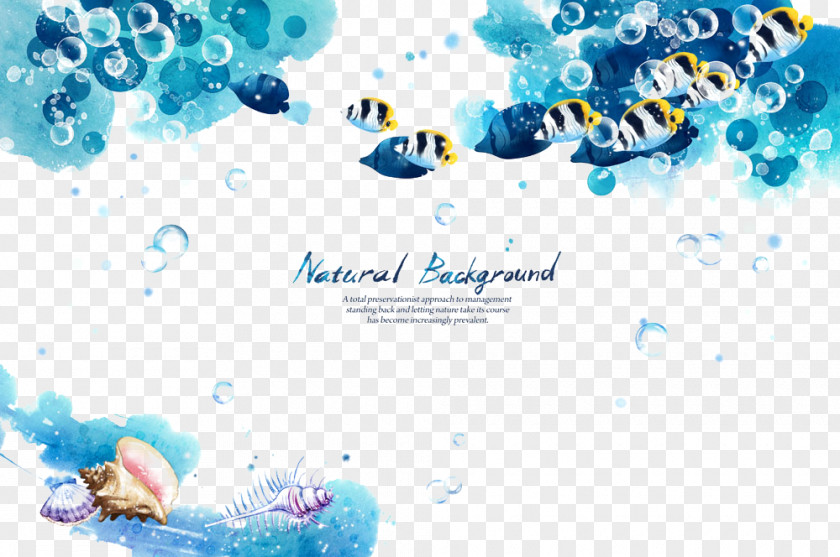 Marine Life Background PNG life background clipart PNG