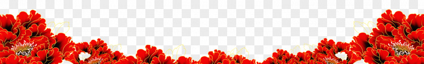 Peony Flower Wallpaper PNG