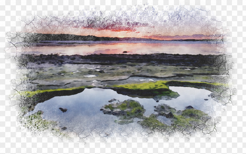 Watercolor Painting Salt Marsh Water Resources PNG