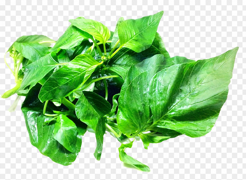 Amaranth Leaves Spinach Leaf PNG