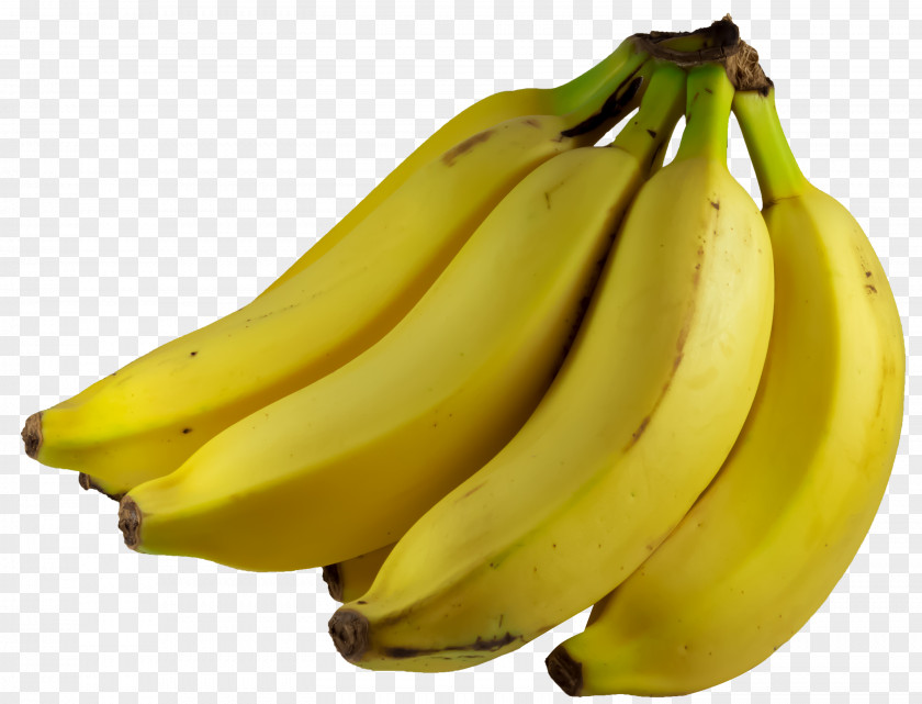 Banana Bread PNG