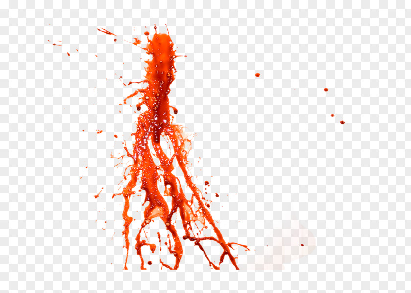 Blood Image Icon PNG