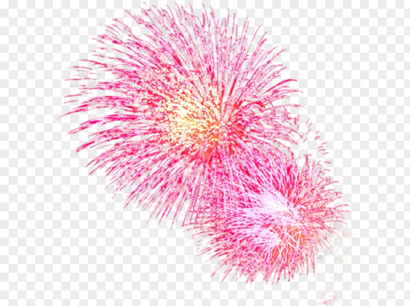 Fireworks Pink Light Red PNG
