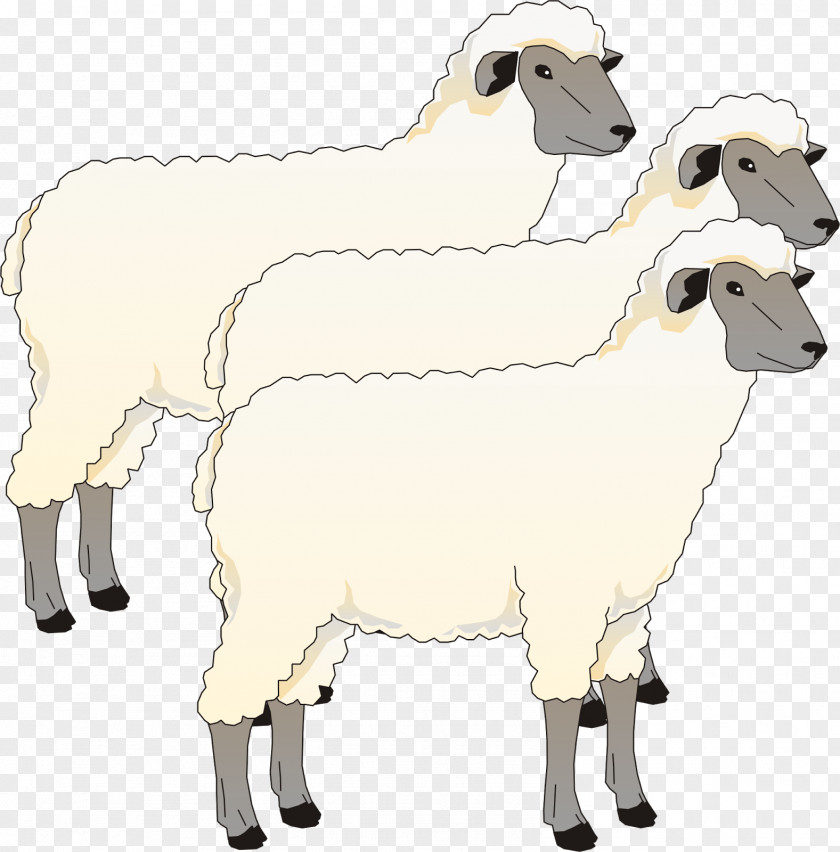 Goat Blackhead Persian Sheep Cotswold Southdown Clip Art PNG