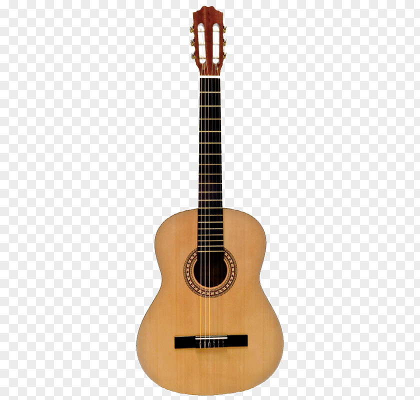 Guitar Classical Acoustic String Neck PNG