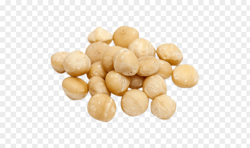 Nuts Organic Food Macadamia Brazil Nut Hazelnut PNG