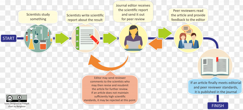 Peer Review Brand Technology Diagram PNG