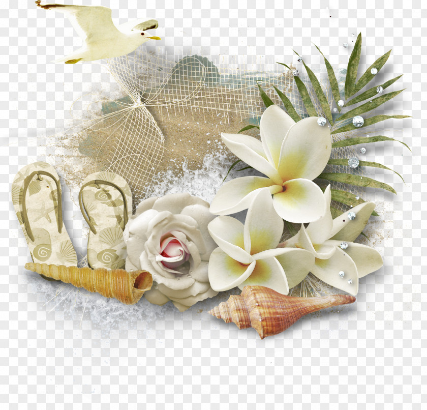 Sea Flower Clip Art PNG