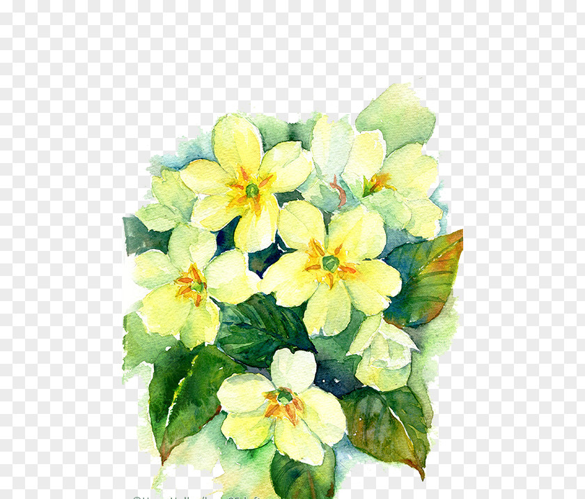 Watercolor Flowers Floral Design Painting Watercolor: Drawing PNG