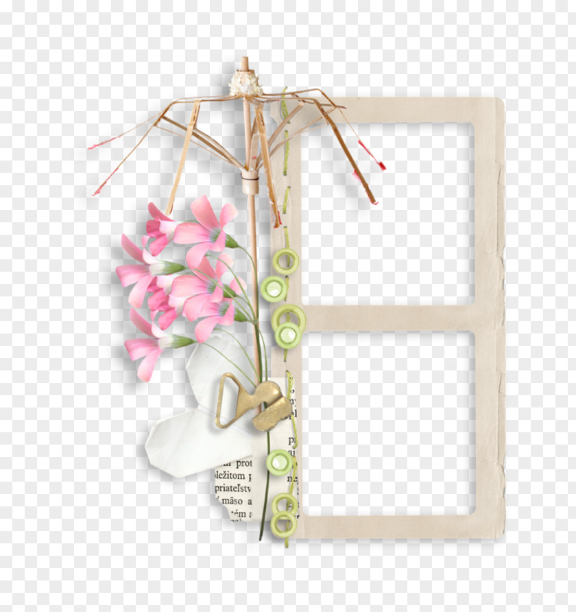 Aesthetic Posters Product Picture Frames Clothes Hanger Pink M Petal PNG