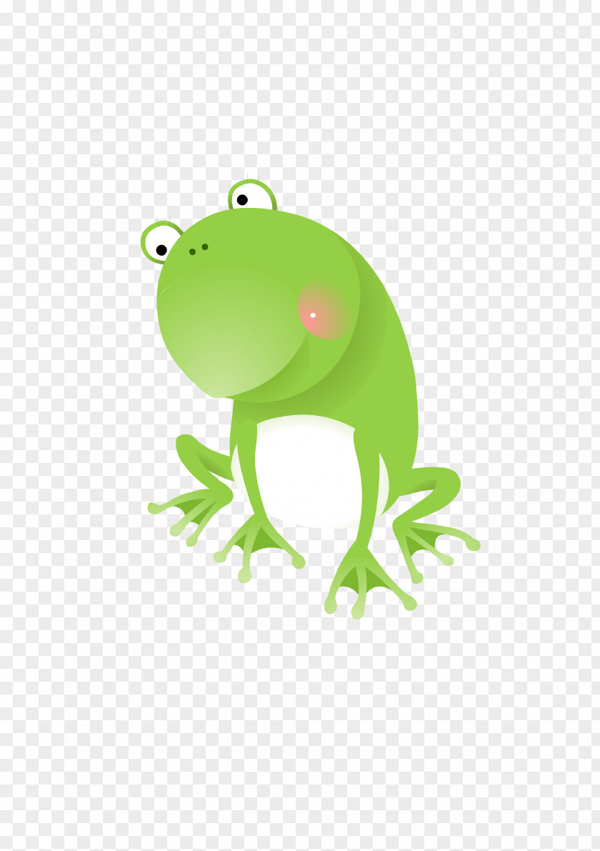 Cute Frog Vector Common Lithobates Clamitans Clip Art PNG