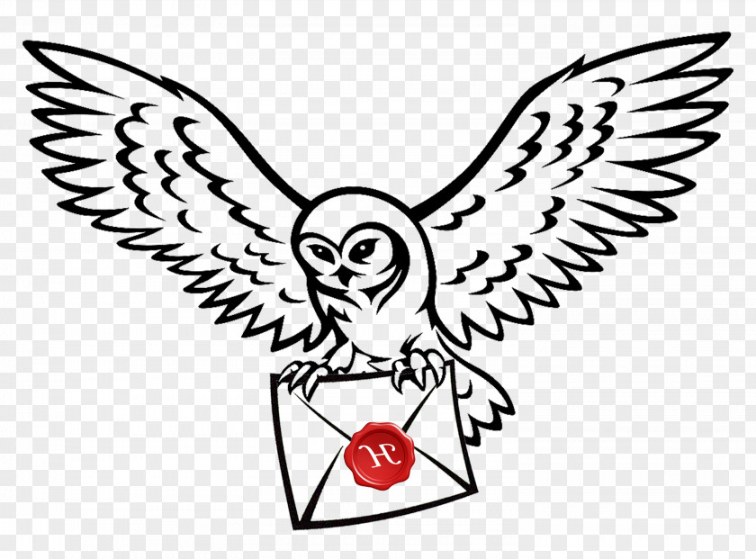 Harry Potter Owl Hedwig Flying Drawing Clip Art Image PNG