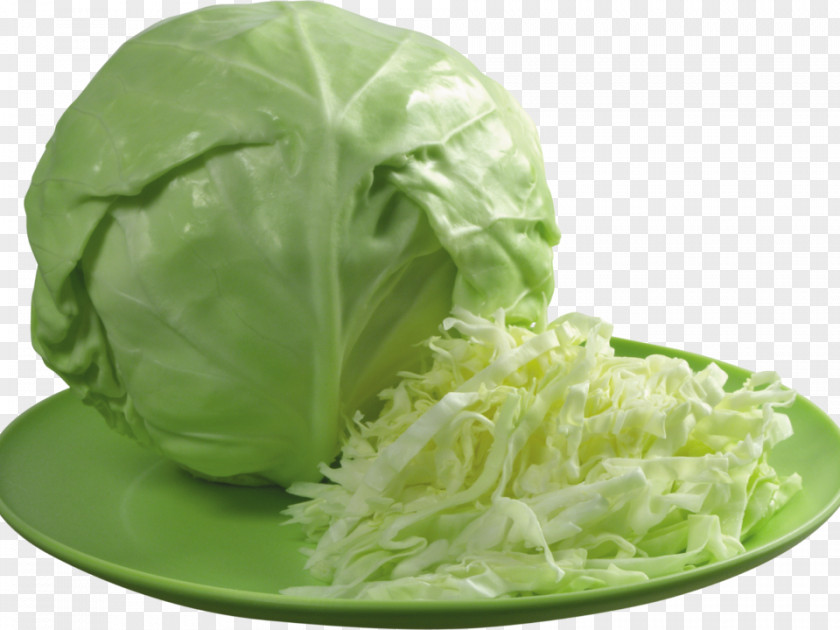 Cabbage Kapusta Kiszona Duszona Red Sauerkraut Brussels Sprout PNG