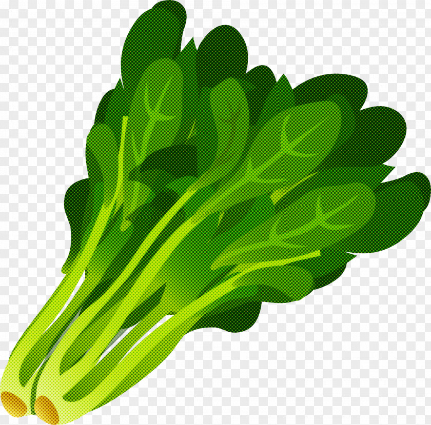 Green Vegetable Leaf Plant PNG