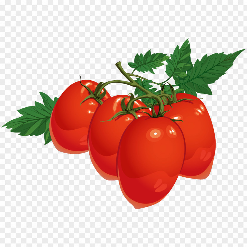 Kleine Tomaten Cherry Tomato Juice Vector Graphics Vegetable Pear PNG