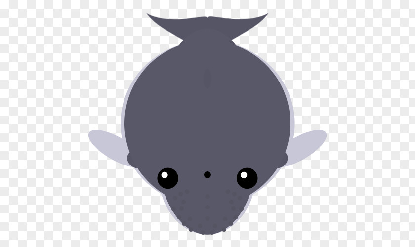 Bat Marine Mammal Cartoon PNG