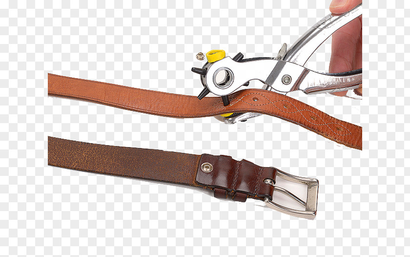 Belt Strap Leash Brown PNG