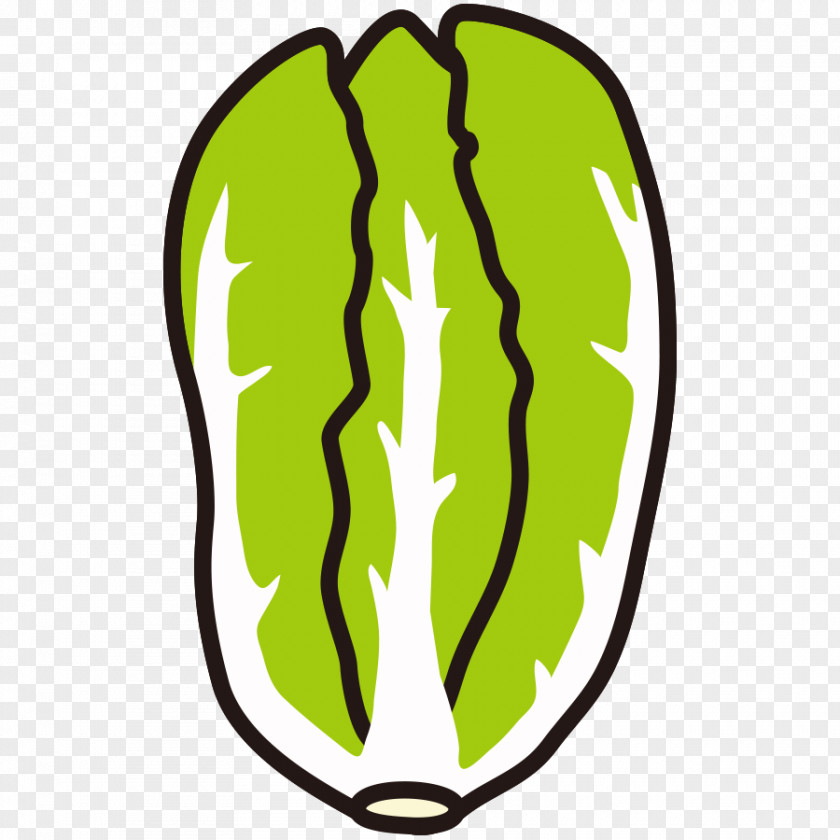 Cabbage Broccoli Alphabet Inc. Food Keyword Tool PNG