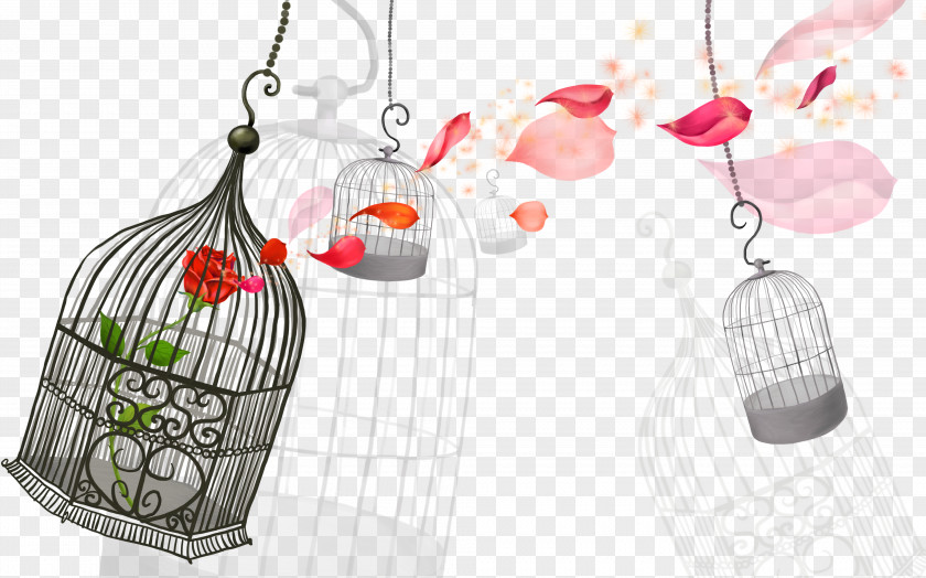 Cartoon Bird Cage Children's Song Birdcage PNG