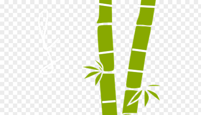 Dying Border Clip Art Bamboo Image Free Content PNG