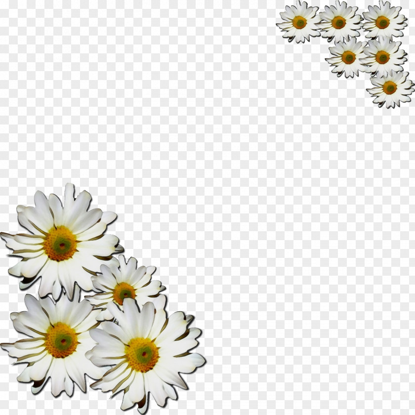 Gerbera Petal Flowers Background PNG