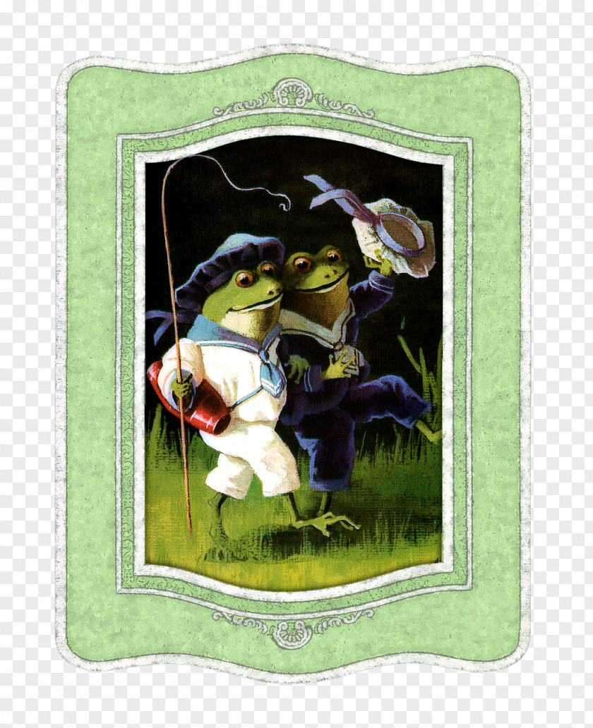 Green Frame Frog Amphibian Pixabay Illustration PNG