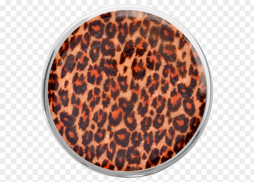 Leopard Silver Coin Animal Print Cat PNG