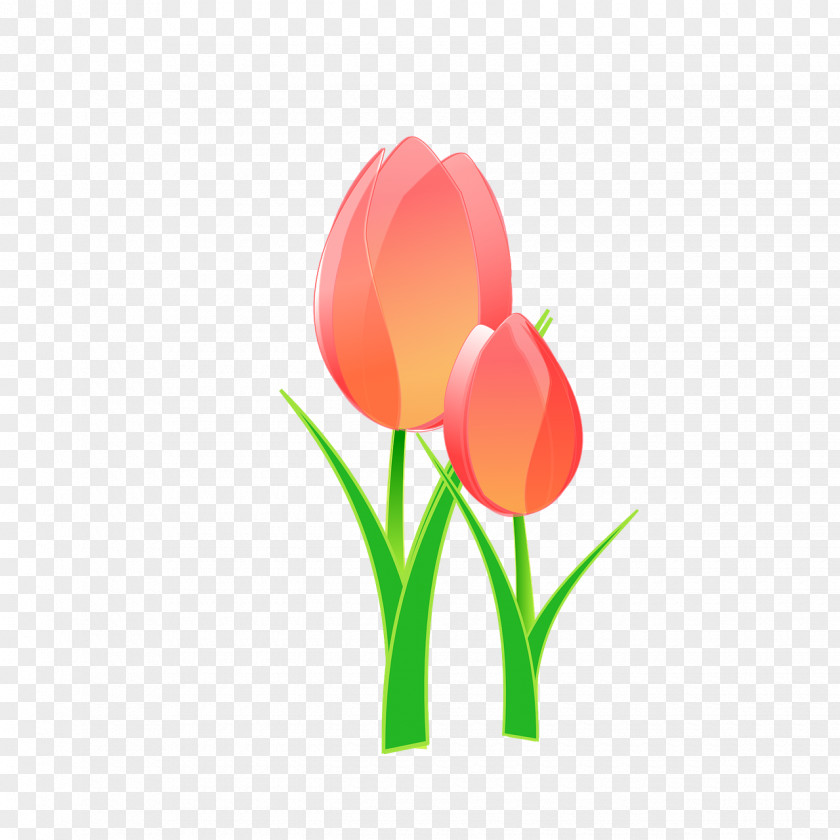 Mother's Day Tulip Restaurant Child Clip Art PNG