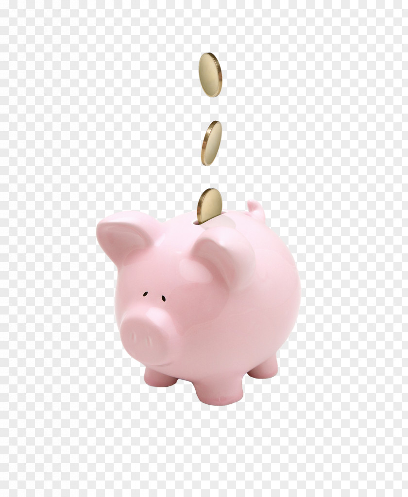 Piggy Bank Saving Money Budget Coin PNG