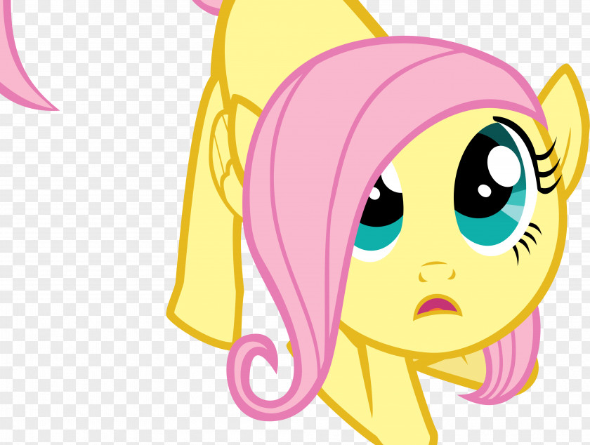 Pug Vector Fluttershy Rainbow Dash Pinkie Pie Twilight Sparkle Pony PNG