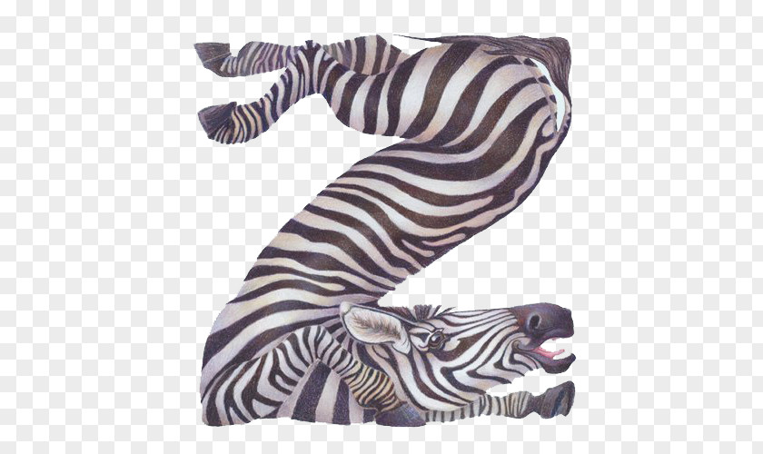 Simple Zebra Z Dog Animal Letter Alphabet PNG