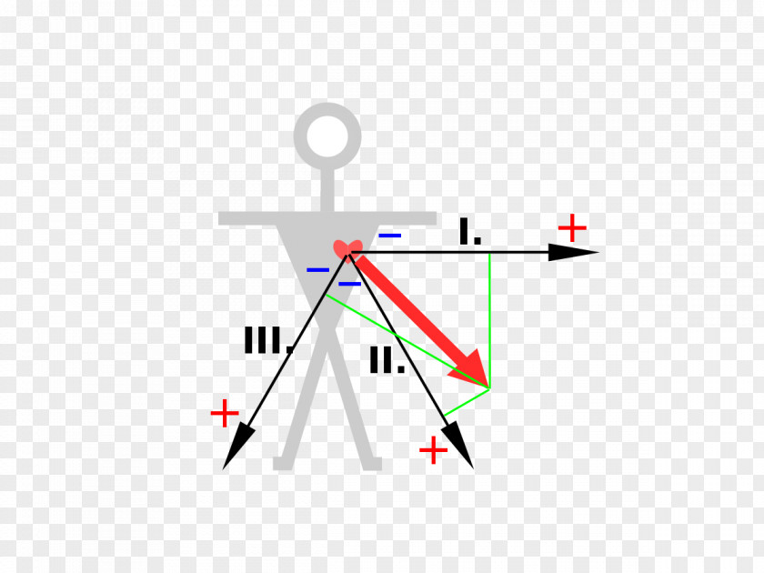 Triangle 3-Lead EKG Einthoven's Electrocardiography Cardiology PNG