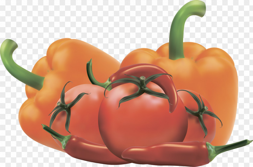 Vegetable Bell Pepper Food Tomato PNG