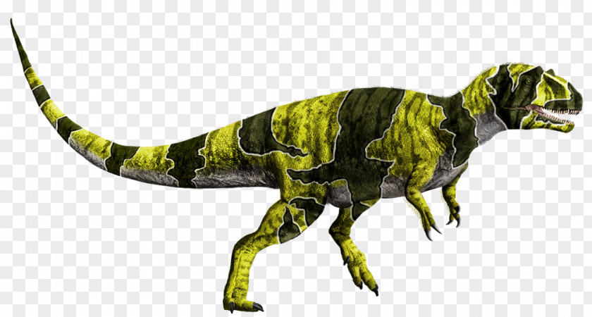 Dinosaur Tyrannosaurus Metriacanthosaurus Velociraptor Ankylosaurus PNG