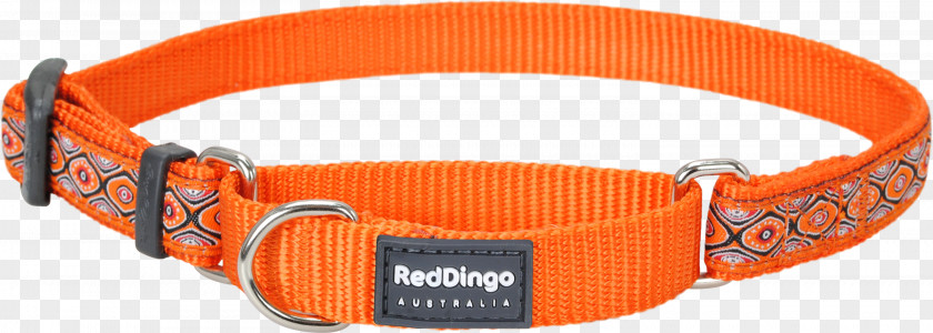 Dog Collars Dingo Collar Martingale American Bully PNG