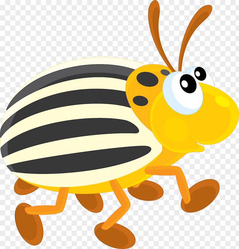 Insect Paper PNG