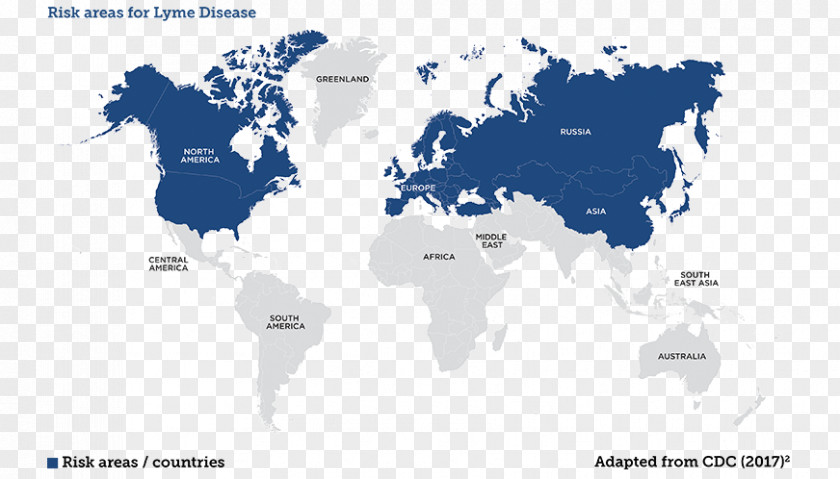 Skin Rash Circle Shape World Map Globe Vector Graphics PNG