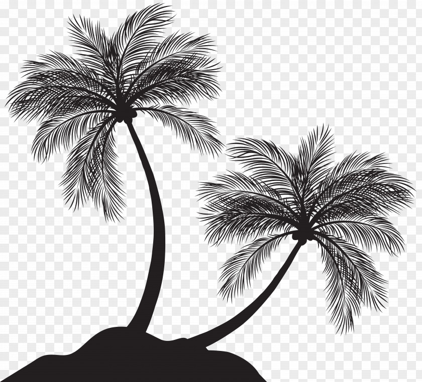 Two Palm Trees Silhouette Clip Art Arecaceae PNG