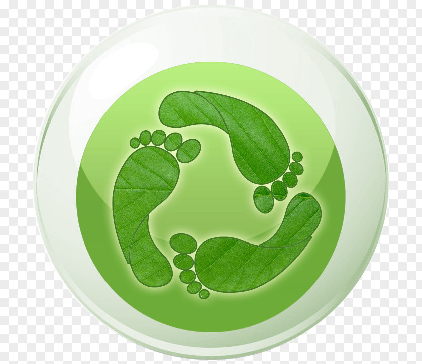 Carbon Footprint Symbol Leaf PNG