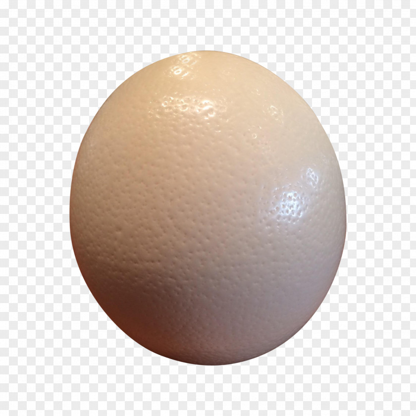 Eggshell Egg Sphere PNG