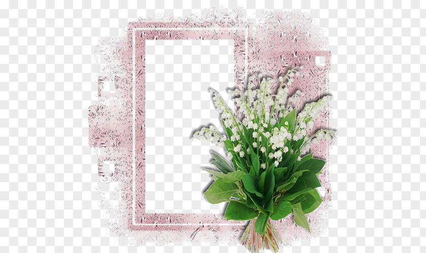 Muguet Picture Frames Lily Of The Valley Cut Flowers Floral Design Flowering Plant PNG