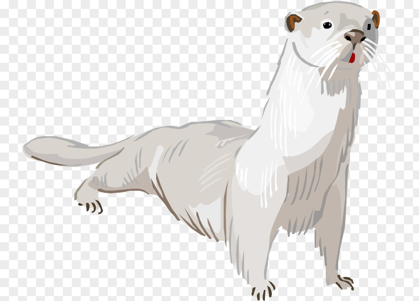 White Otter Cliparts Cat PNG