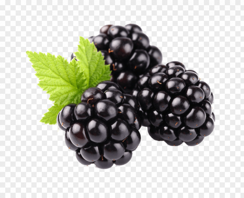 Blackberry Fruit Food PNG