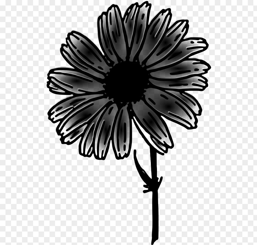 Clip Art Drawing Common Daisy Image PNG