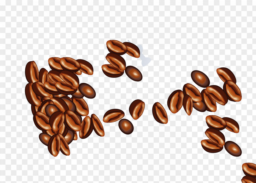 Coffee Beans Cafe Bean PNG