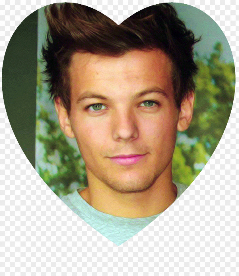 One Direction Louis Tomlinson Celebrity Image Photography PNG